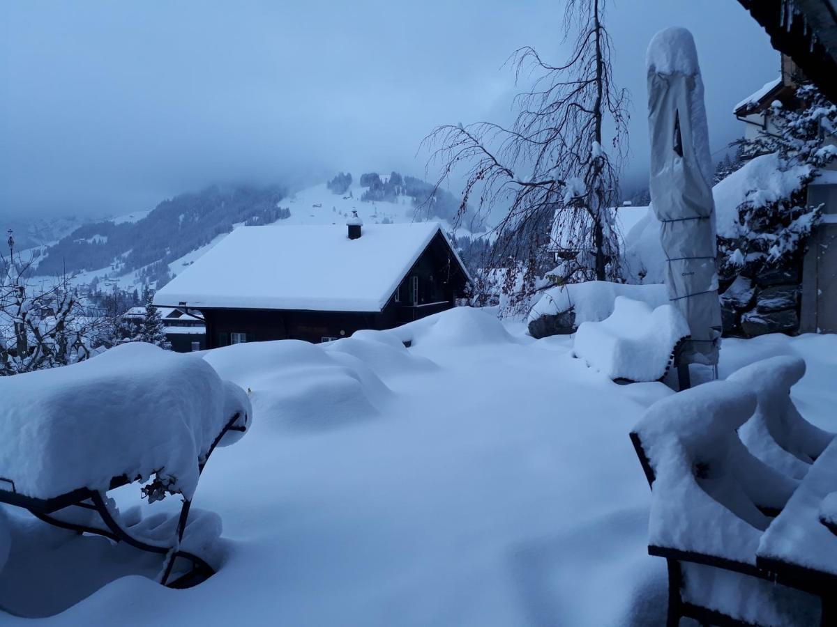 Chalet Gotthelf Gartenstudio, Ferien Mit Hund Adelboden Eksteriør bilde