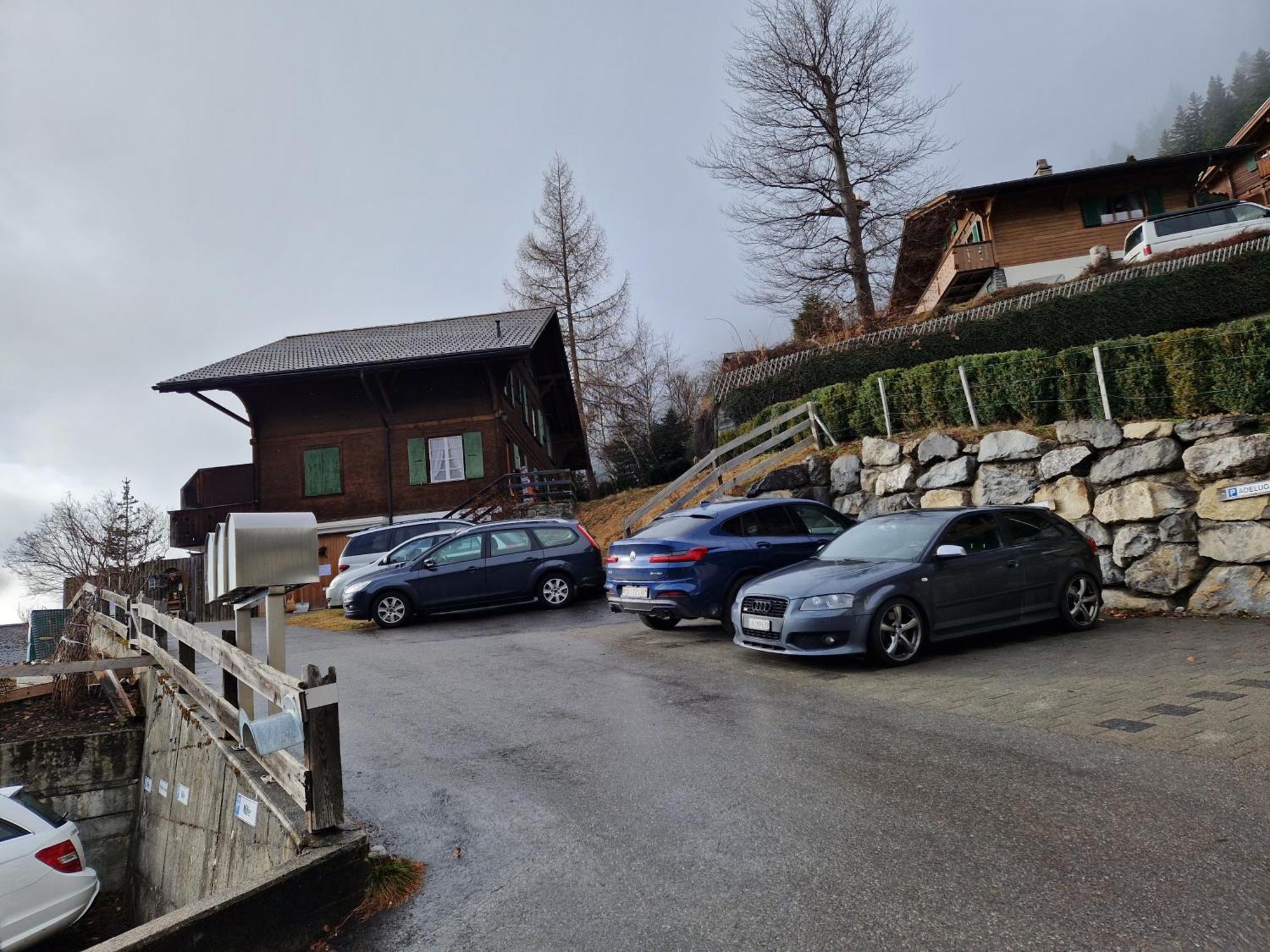 Chalet Gotthelf Gartenstudio, Ferien Mit Hund Adelboden Eksteriør bilde