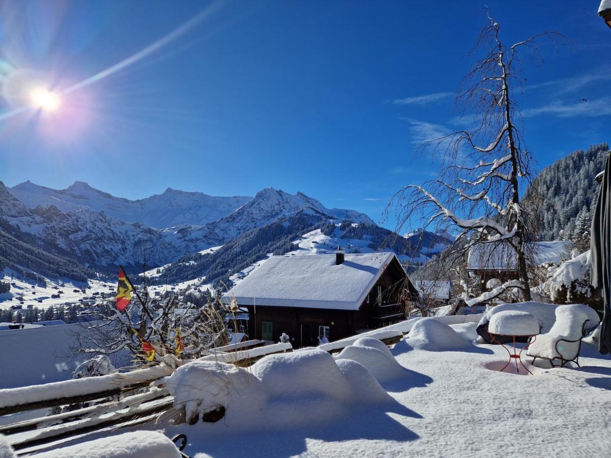 Chalet Gotthelf Gartenstudio, Ferien Mit Hund Adelboden Eksteriør bilde