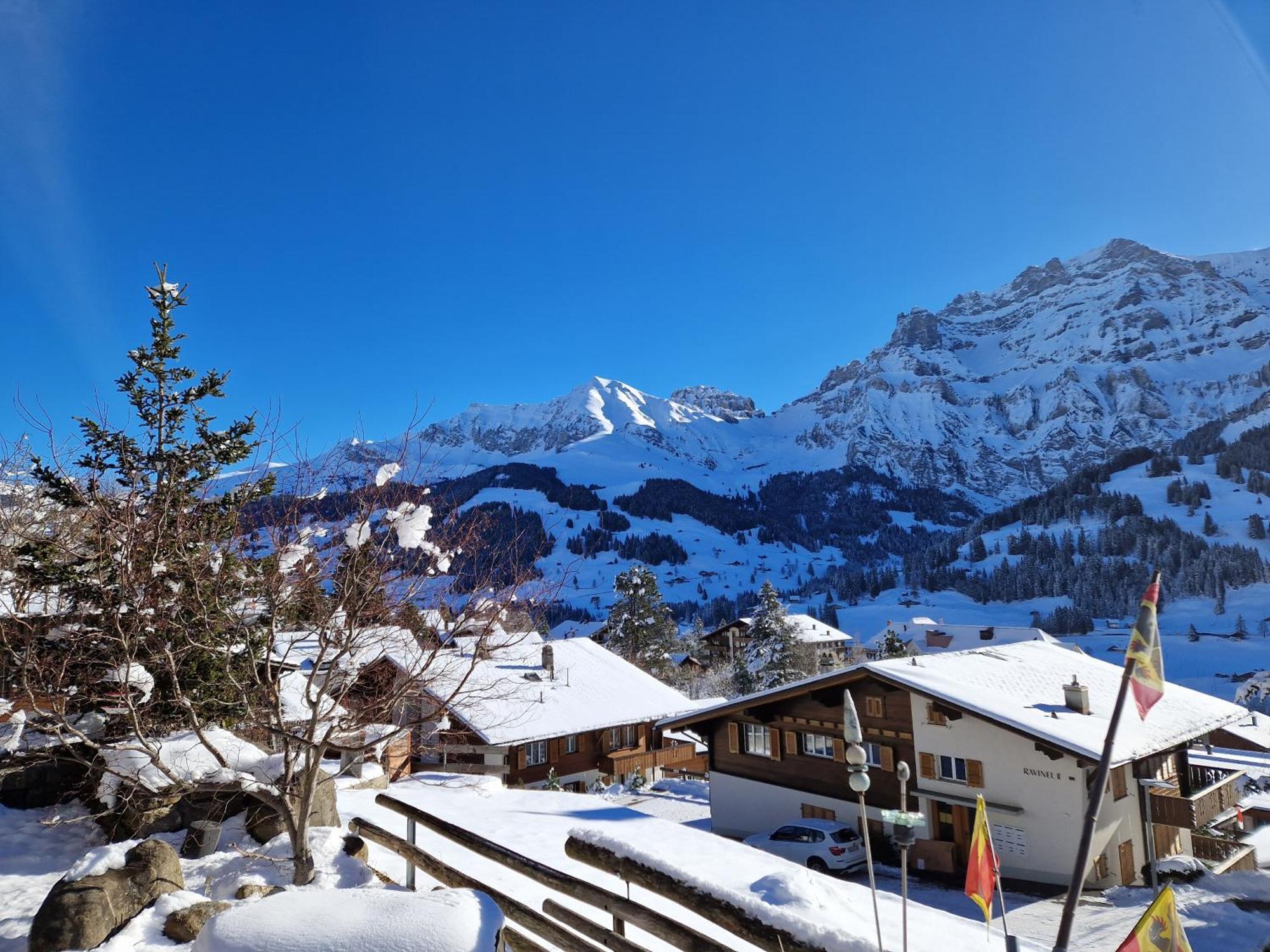 Chalet Gotthelf Gartenstudio, Ferien Mit Hund Adelboden Eksteriør bilde