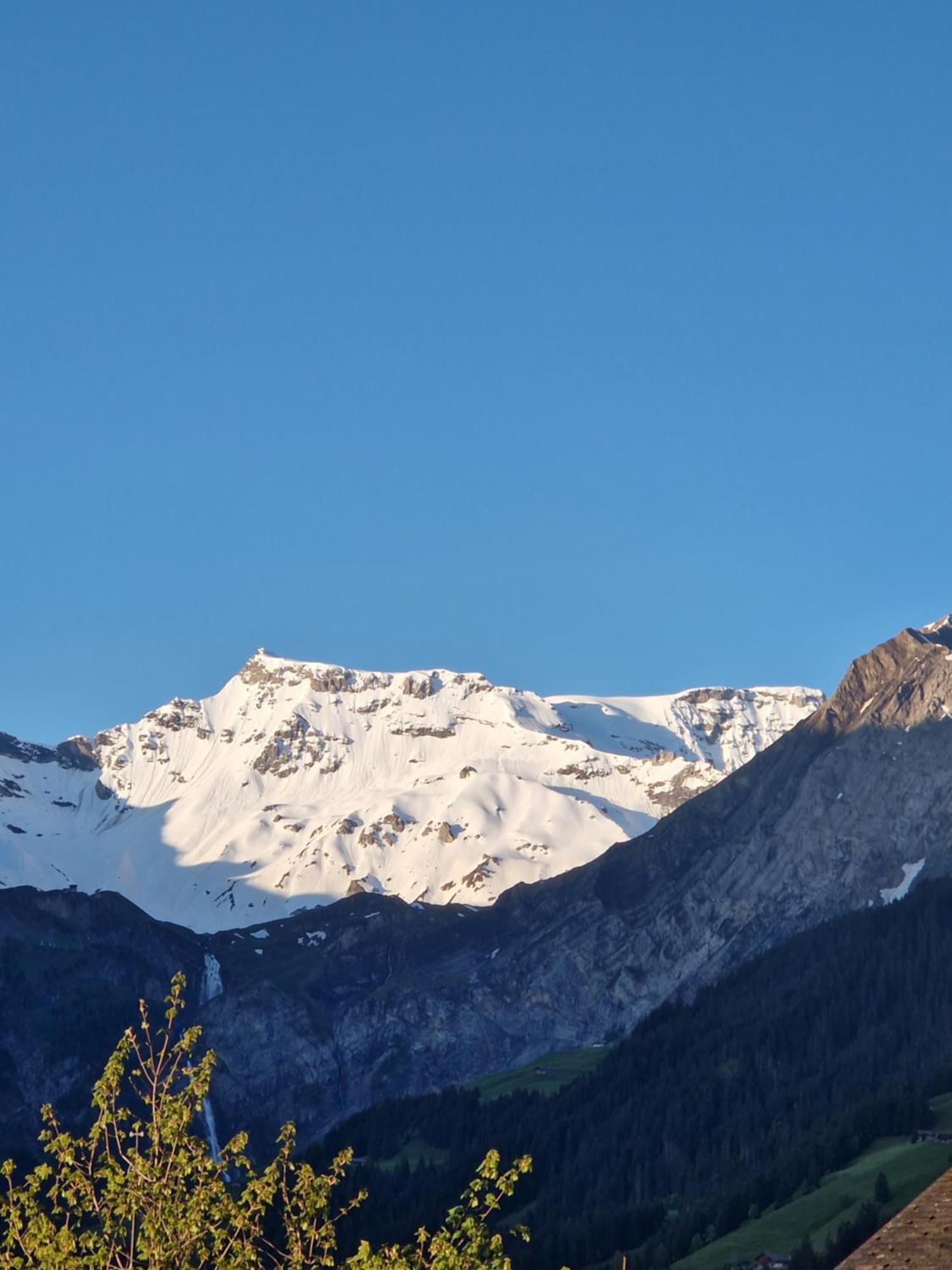 Chalet Gotthelf Gartenstudio, Ferien Mit Hund Adelboden Eksteriør bilde
