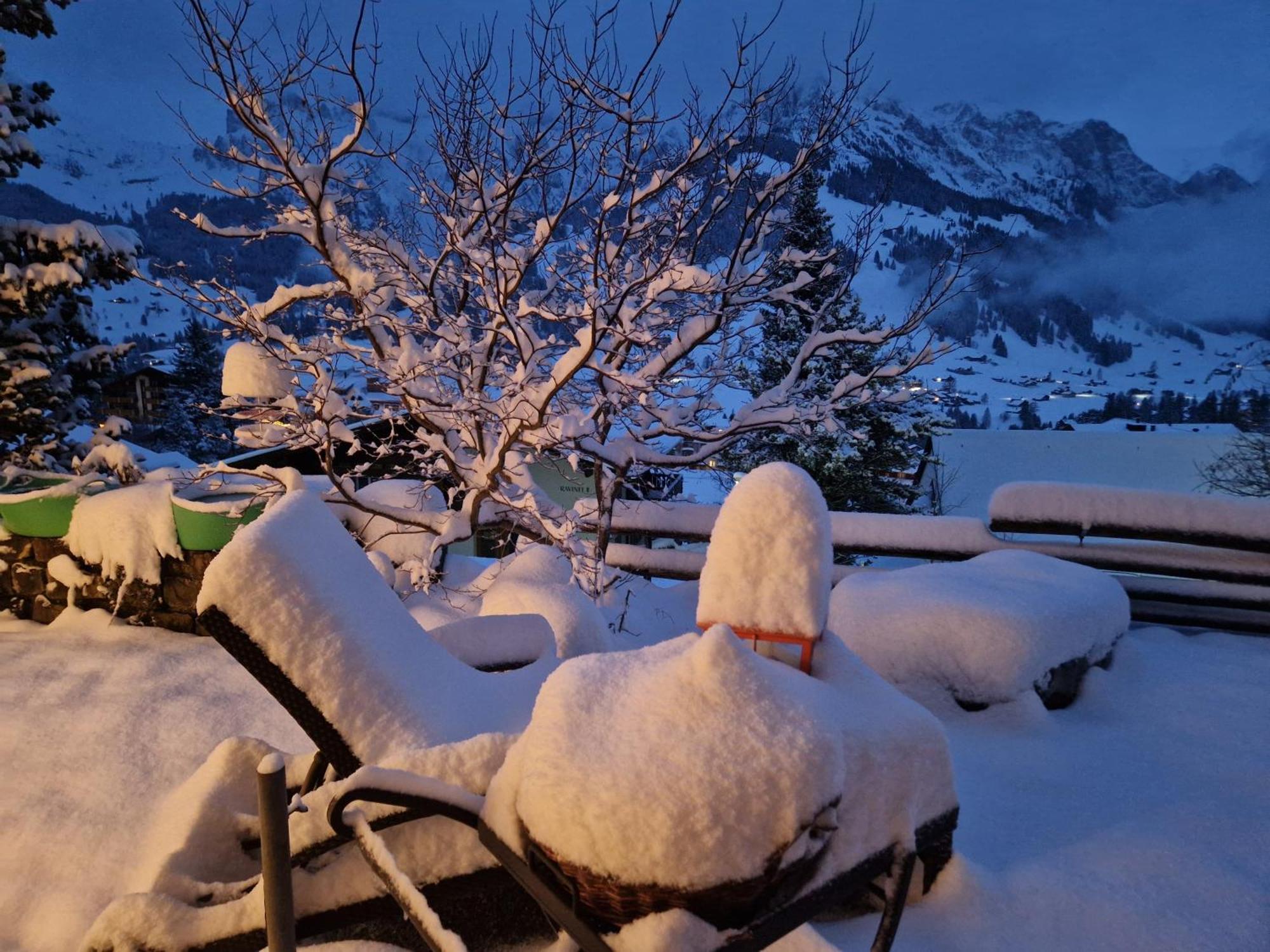 Chalet Gotthelf Gartenstudio, Ferien Mit Hund Adelboden Eksteriør bilde