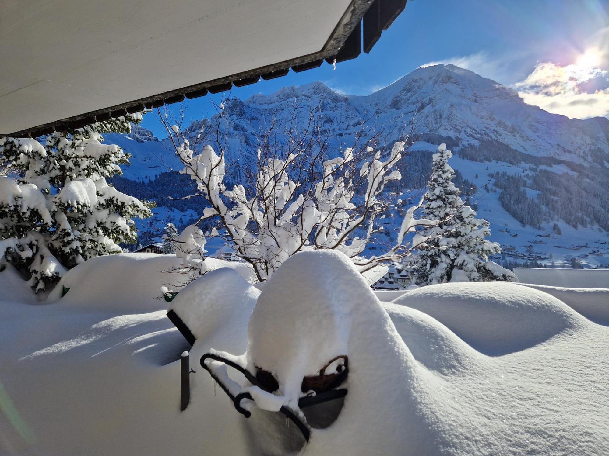 Chalet Gotthelf Gartenstudio, Ferien Mit Hund Adelboden Eksteriør bilde